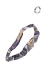 shard image